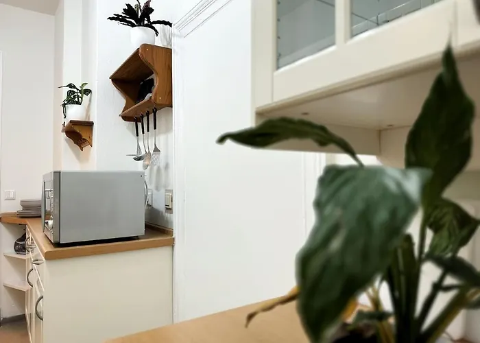 I Large 3 In The Location In Kreuzberg Apartment